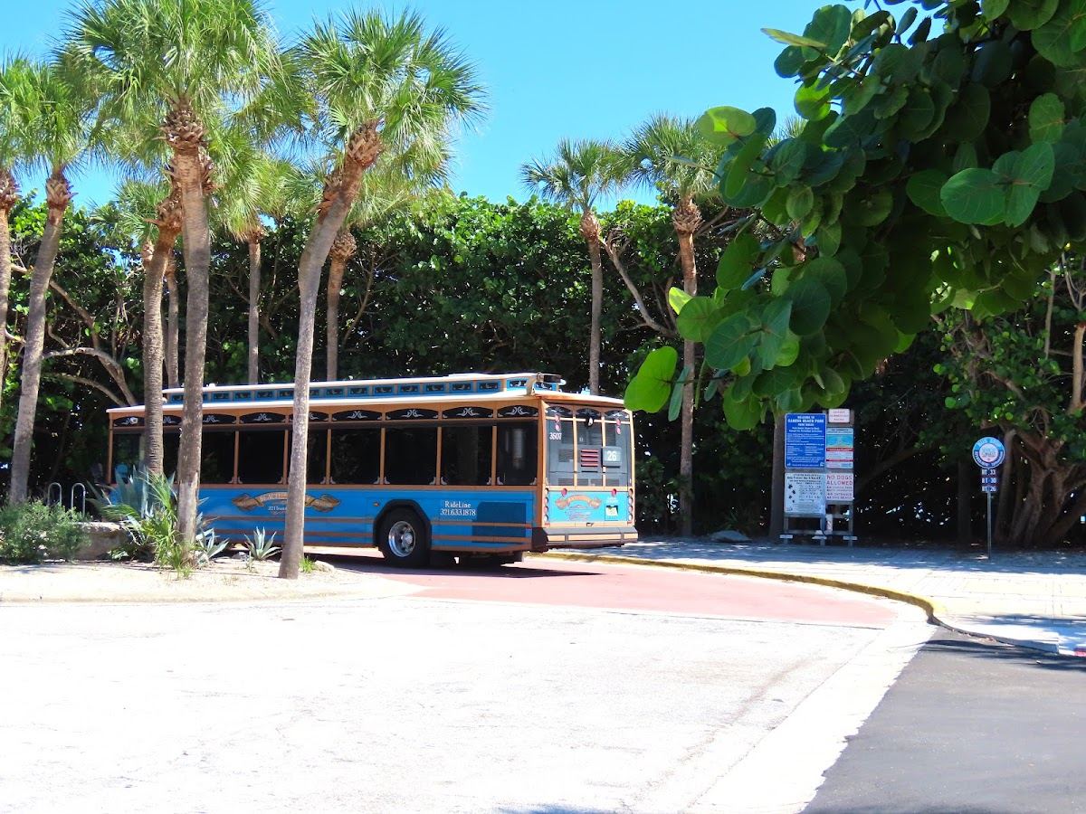 Canova Beach Park