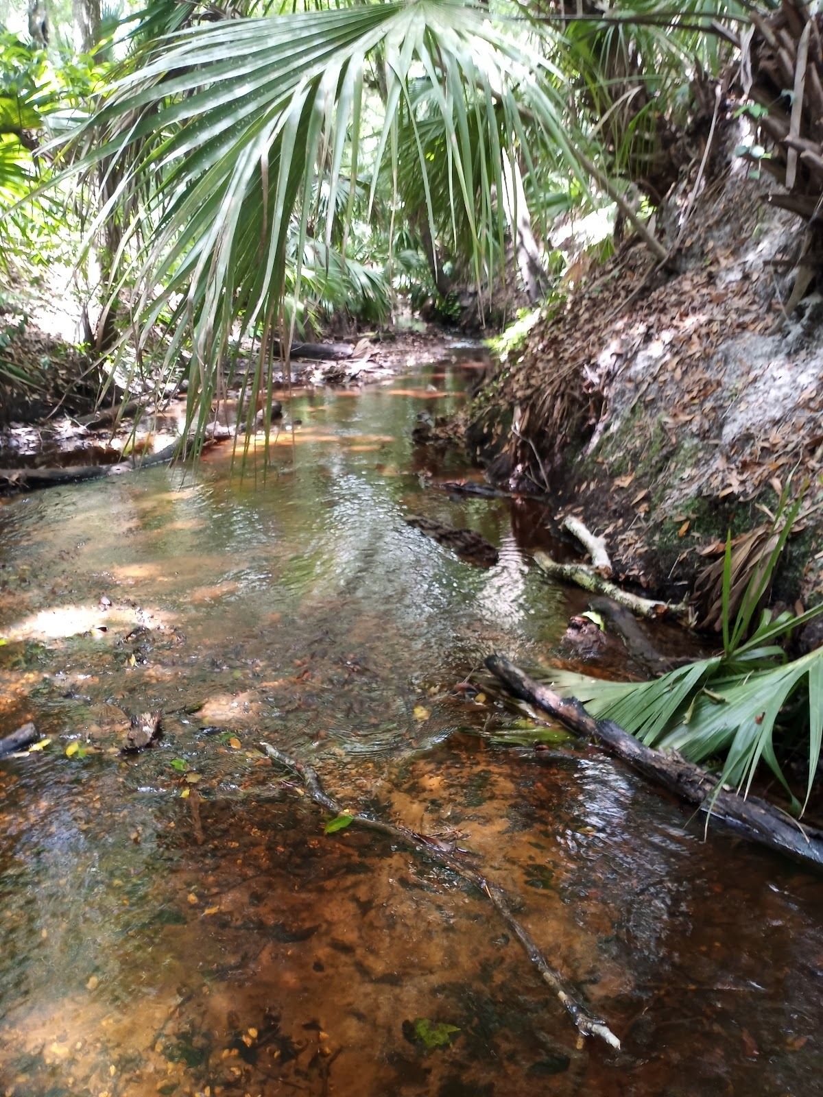 Florida Trail