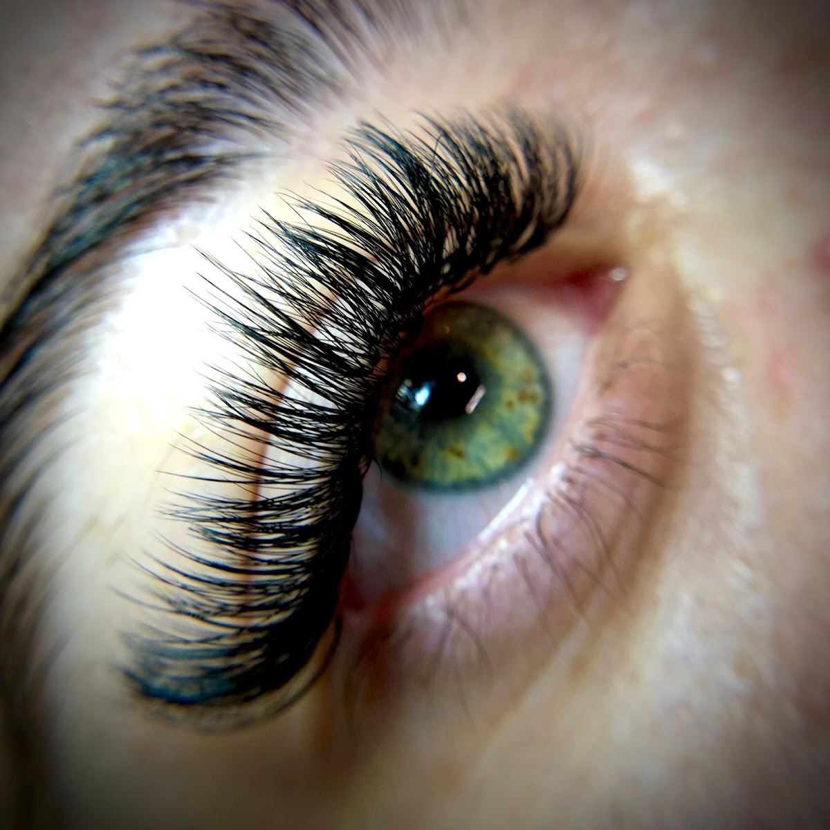 Lash-ology & Spa Cocoa Beach