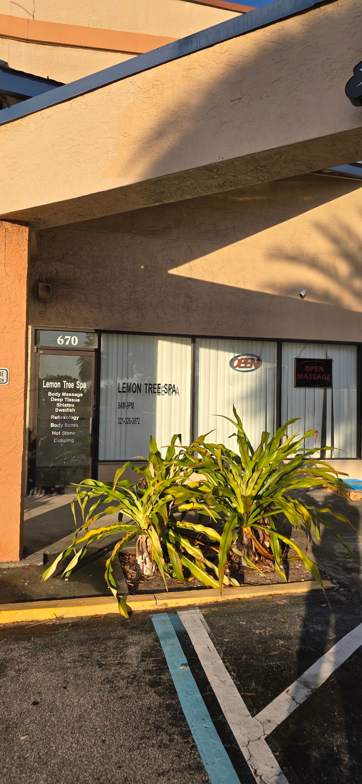 Lemon Tree Spa(MM43654)