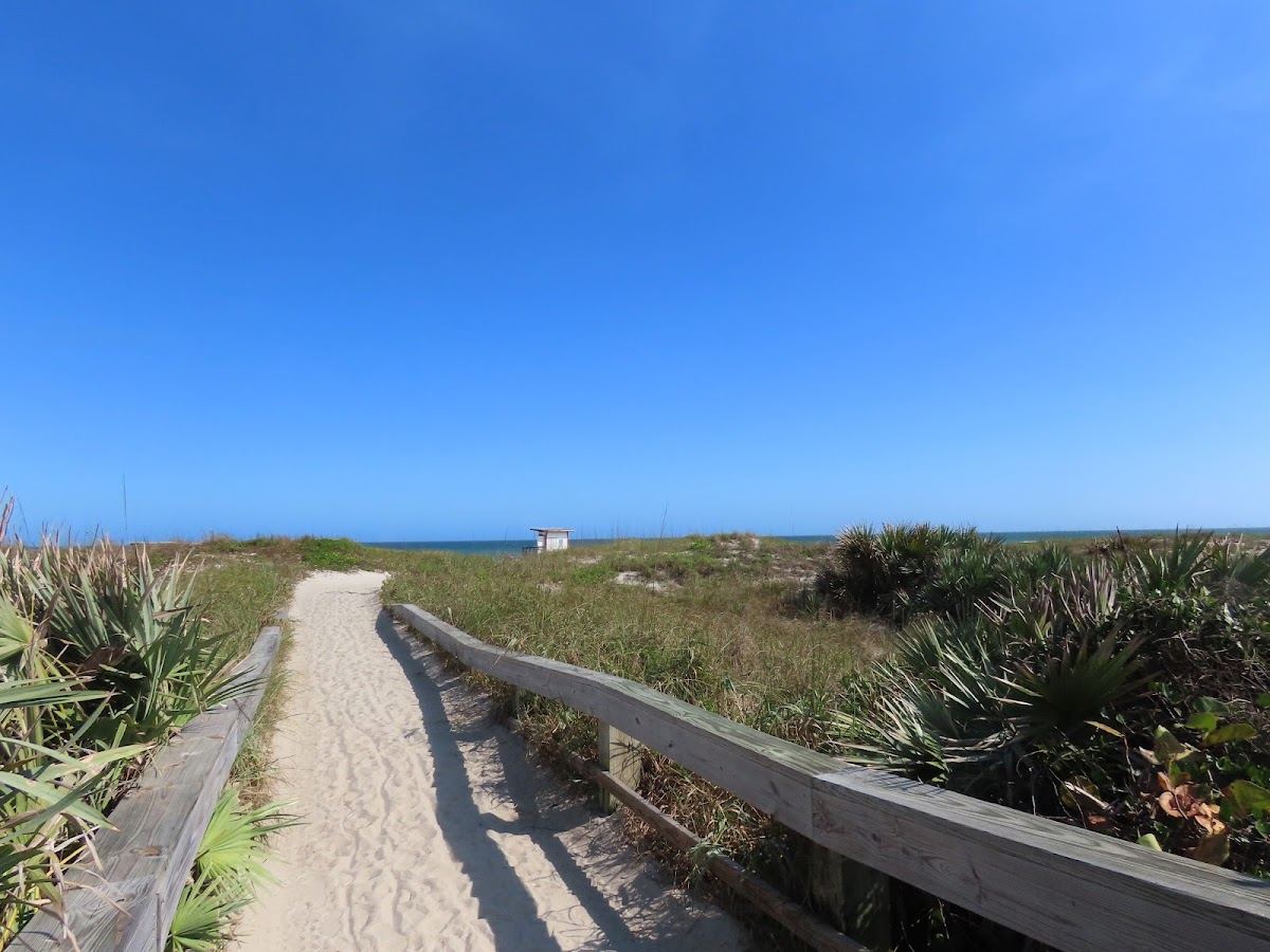 Lori Wilson Park