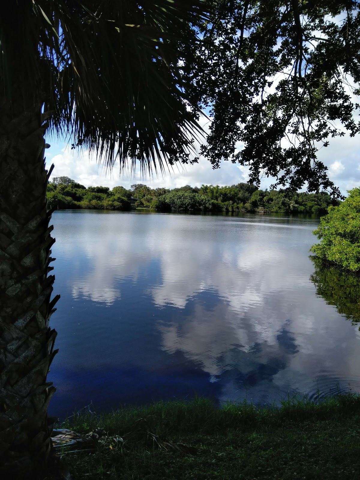 Manatee Park