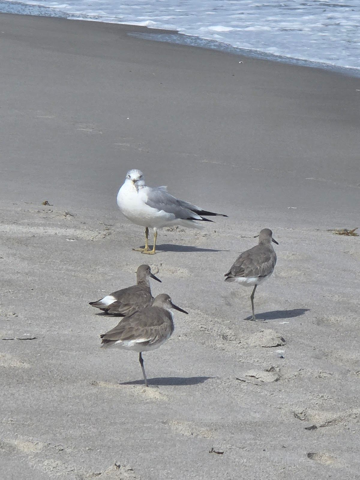 Number 16- Beach Access