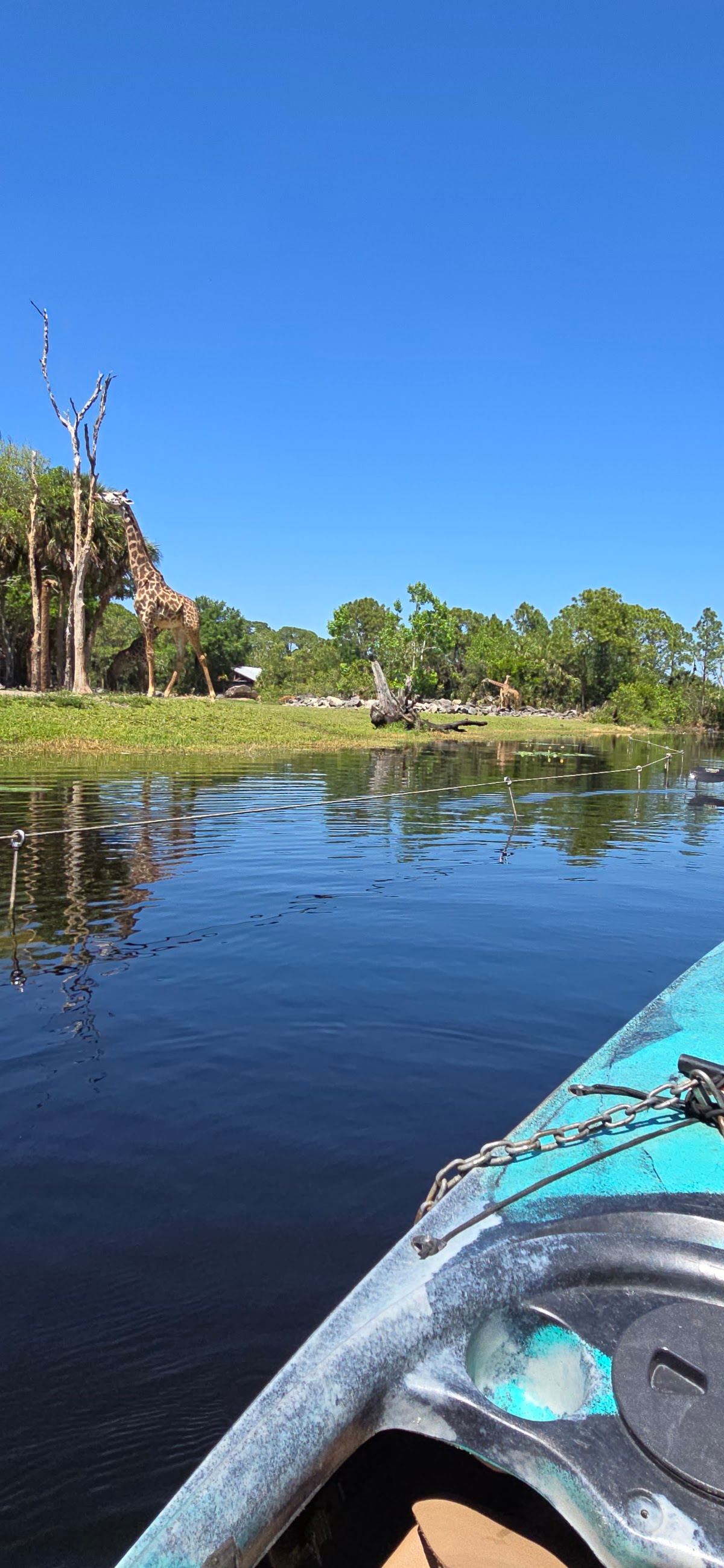 Nyami Nyami Kayak tour at Brevard Zoo