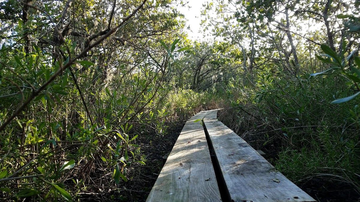 Pine Island Conservation Area