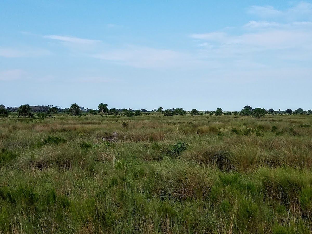 River Lakes Conservation Area