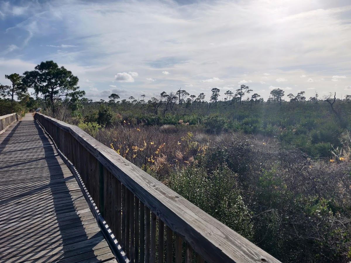 Sand Hill Trail Head