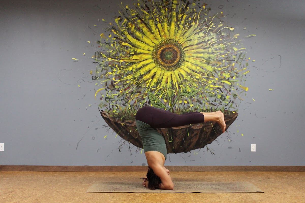The Yogi Perogi