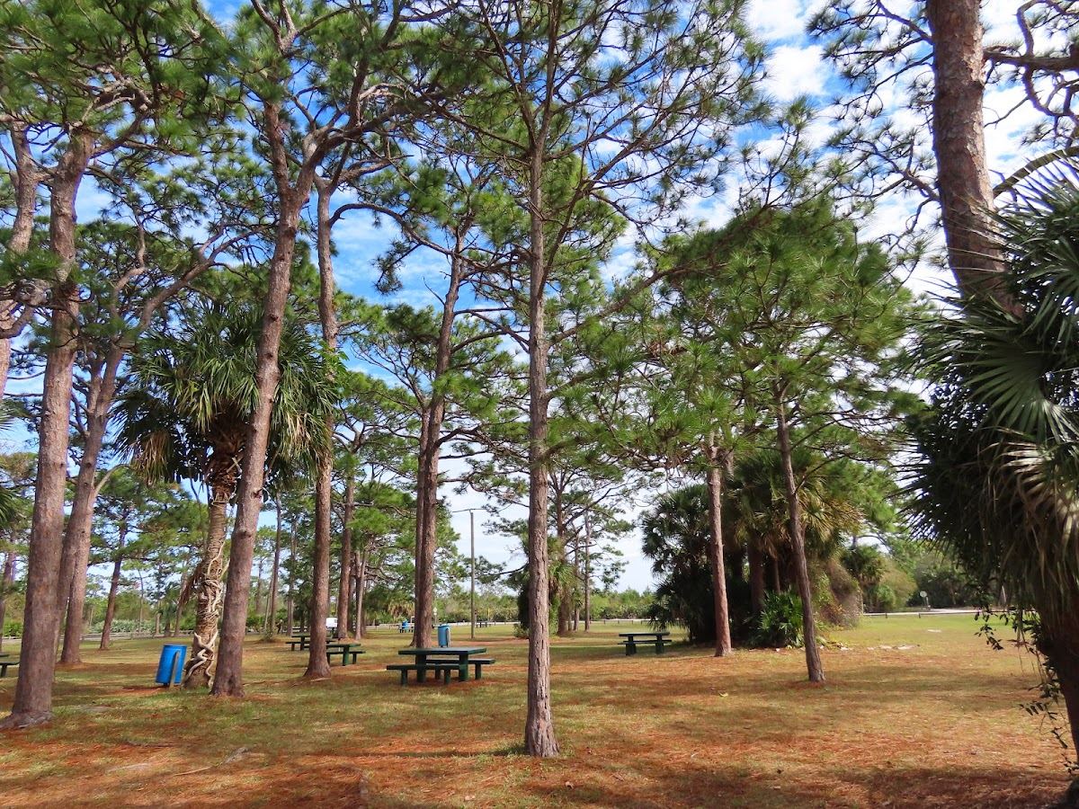 Wickham Park