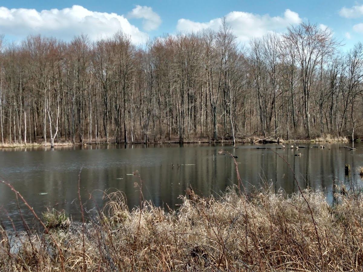 Bernard W. Baker Sanctuary