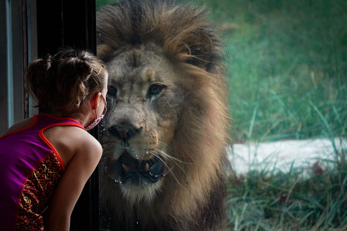 Binder Park Zoo