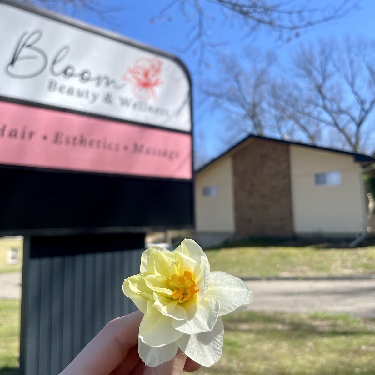 Bloom Beauty & Wellness