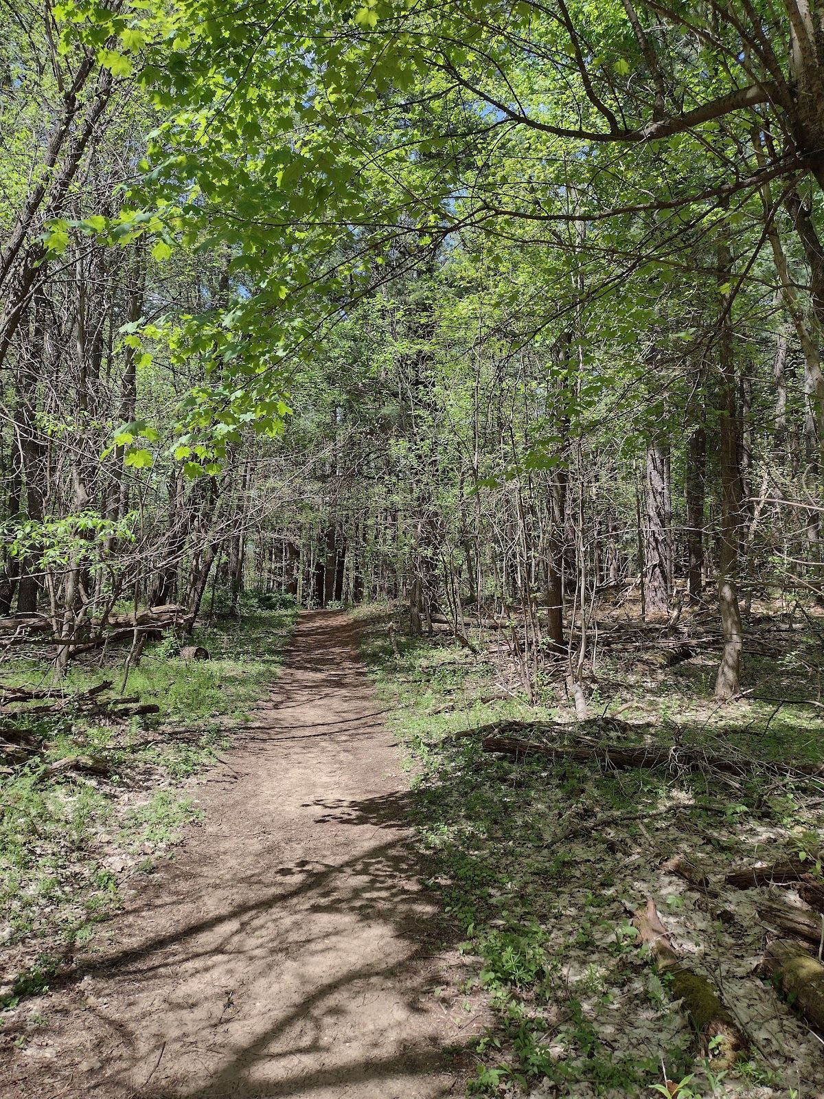 Grever's Nature Center