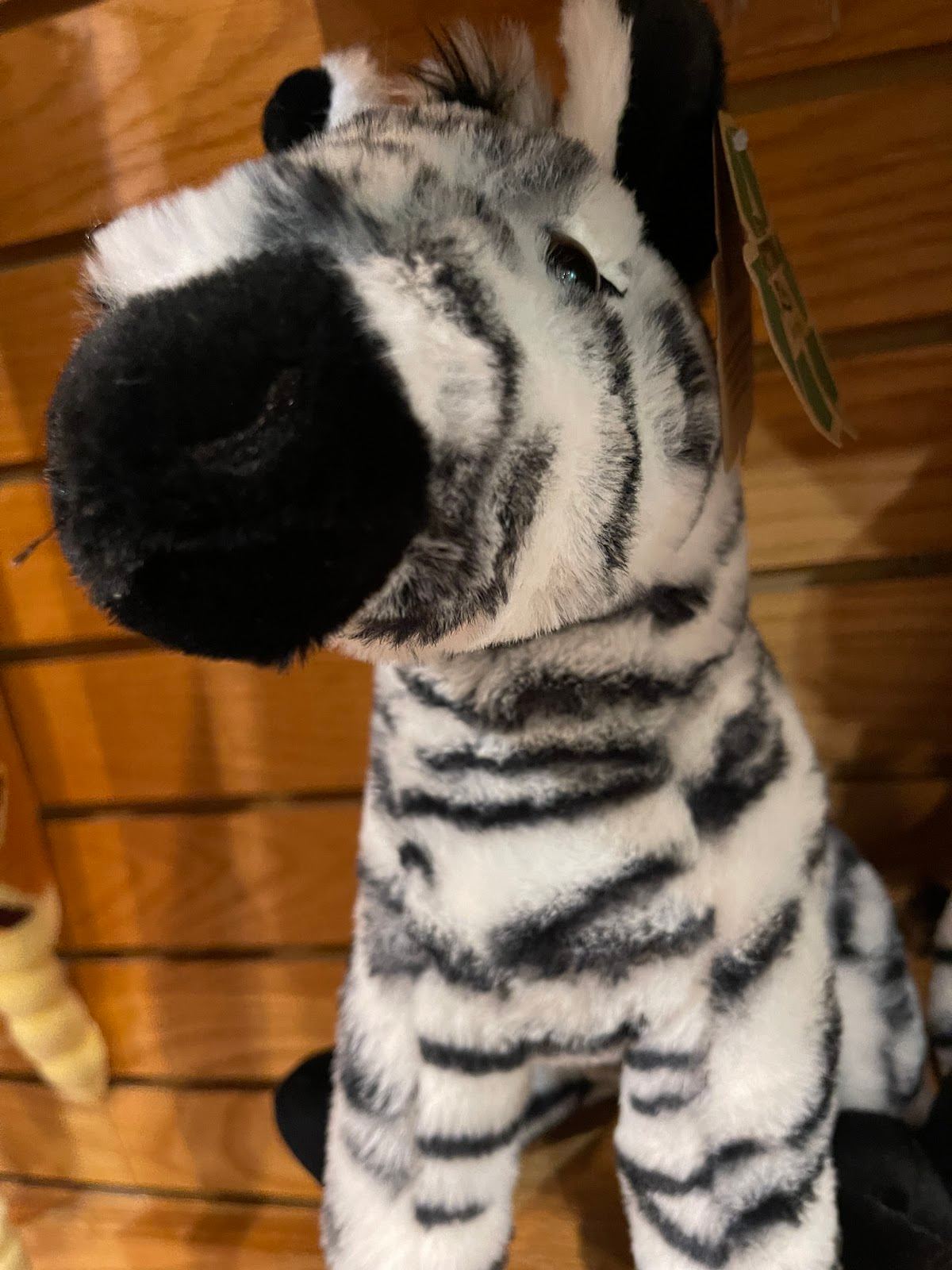 Safari Gift Shop