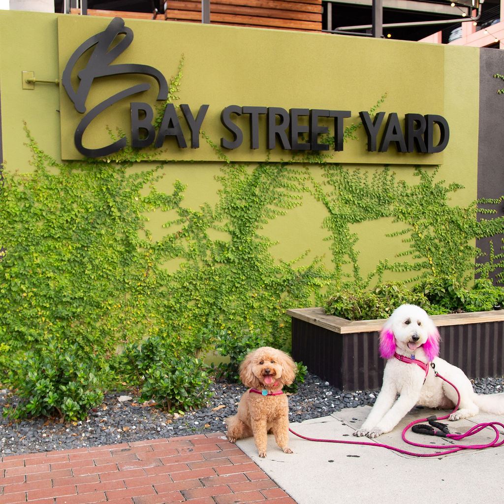 Bay Street Yard
