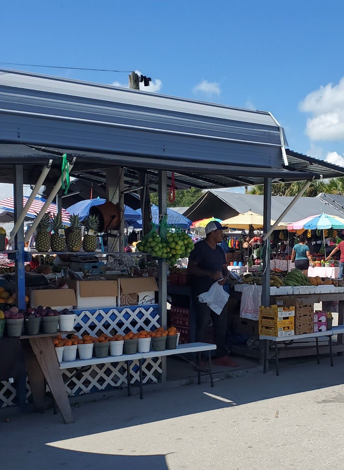 Flea Market of Ortiz Ave