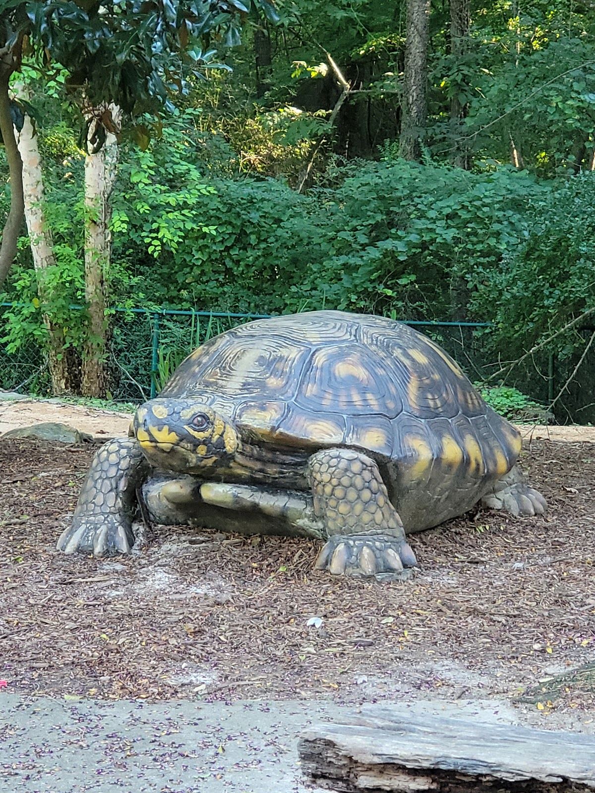 Kiwanis Park