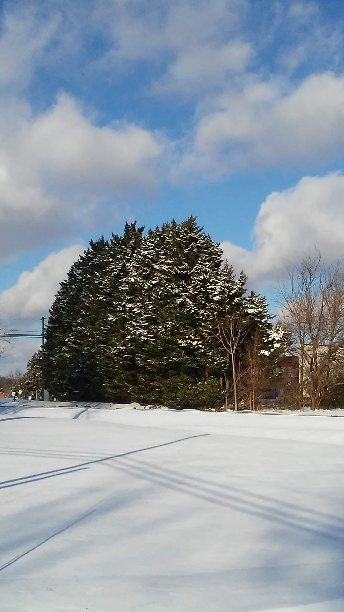 Liberty Parks & Rec Department