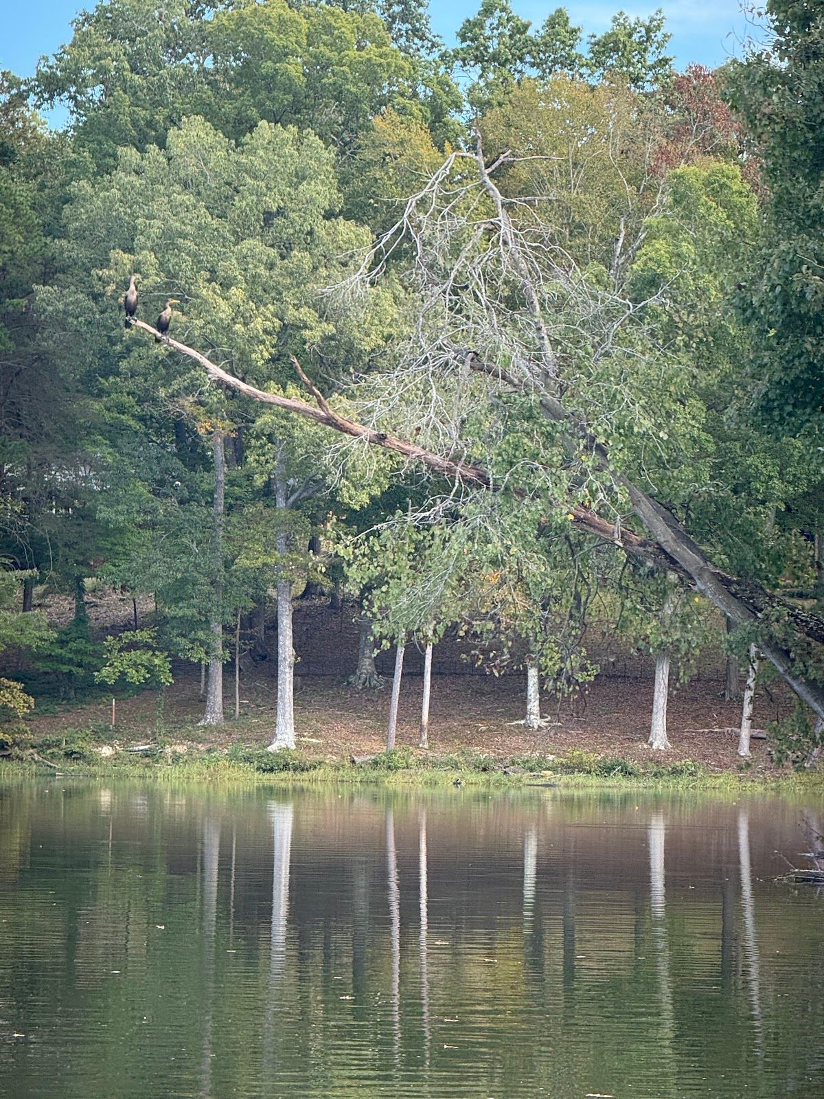 Northwest District Park