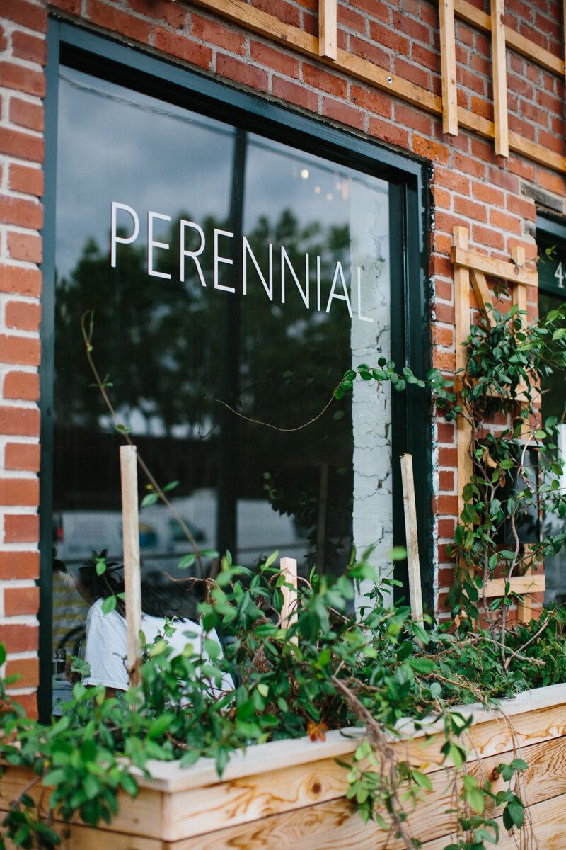 Perennial