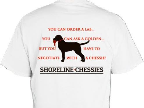 Shoreline Chessies