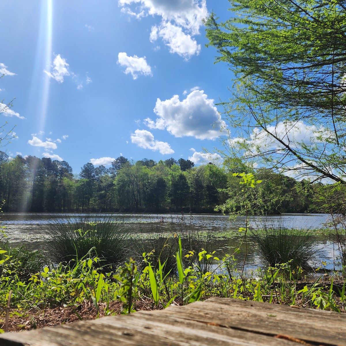 Town Lake Park