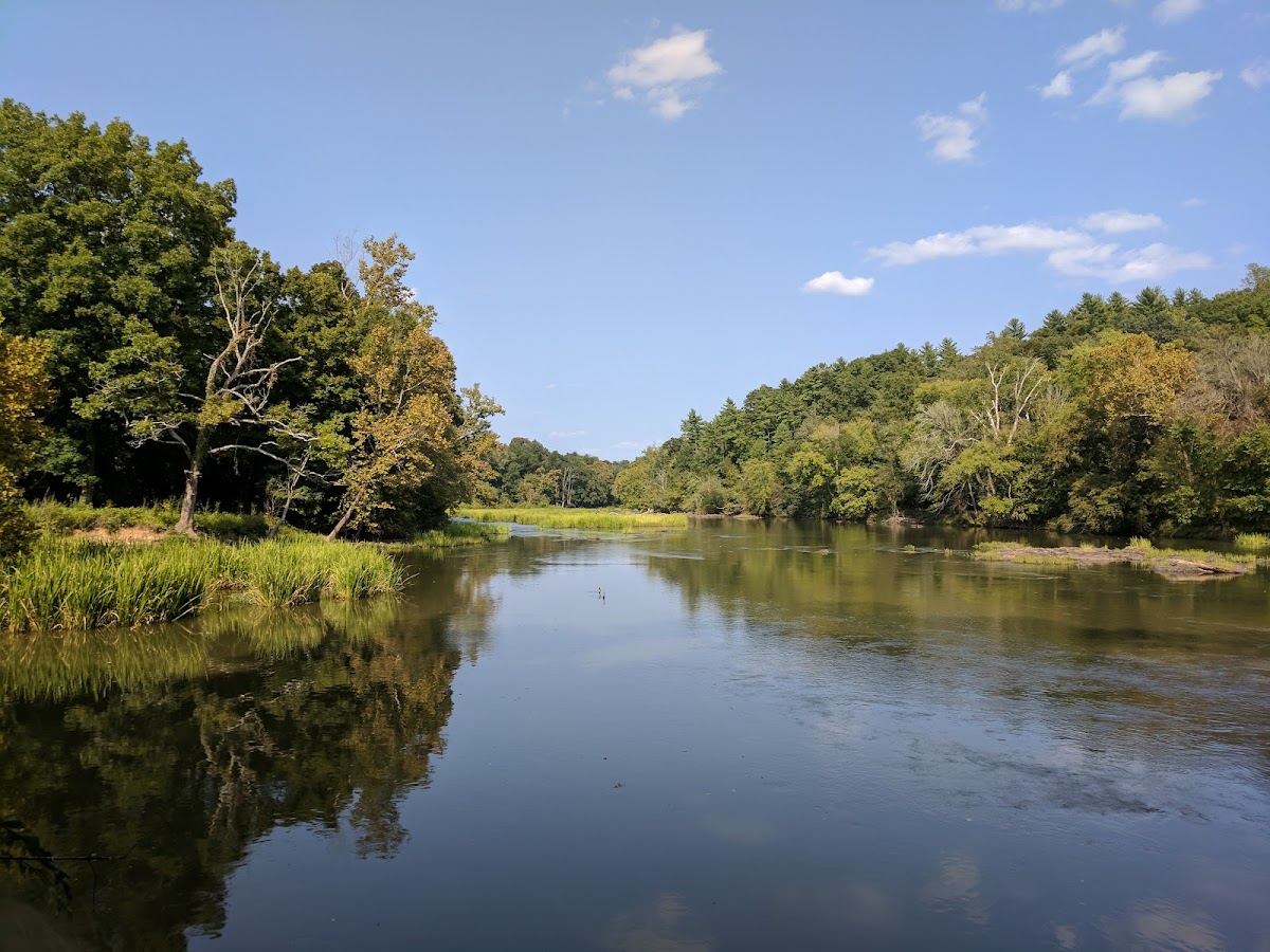 White Pines Nature Preserve