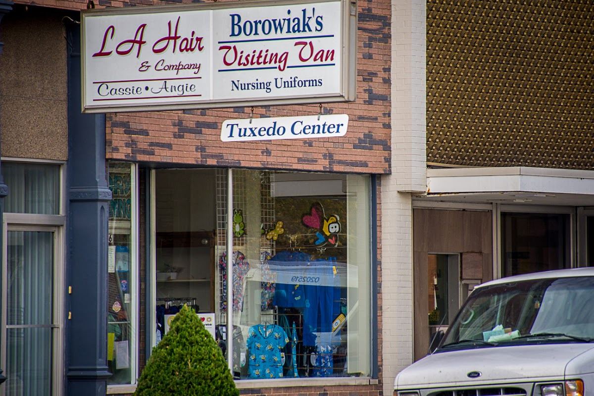 Borowiak'S-Visiting Van