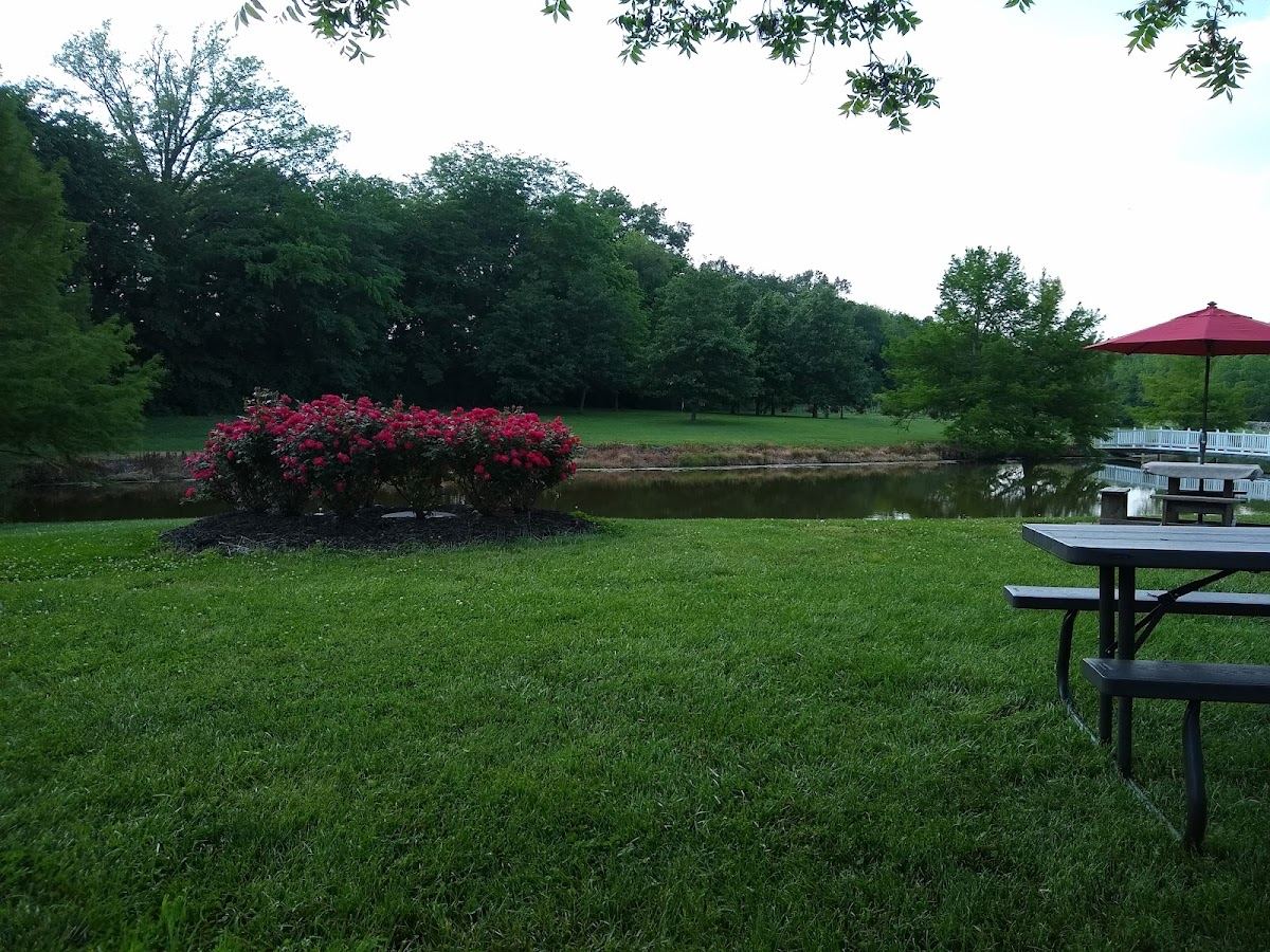 Twelve Oaks Vineyard
