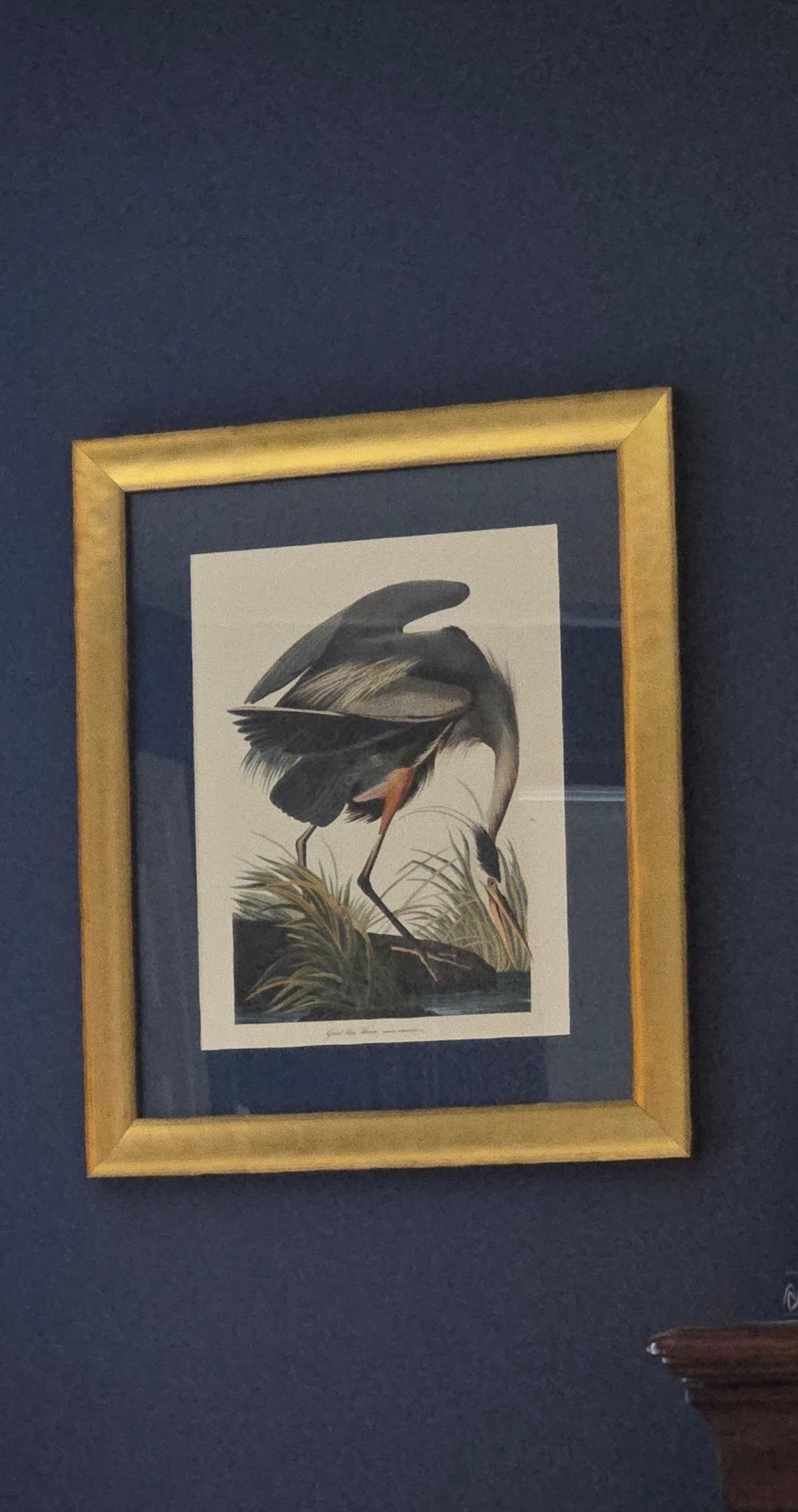 Awards & Trophy Shop and Custom Framing