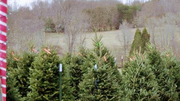 Owen Farm Tours