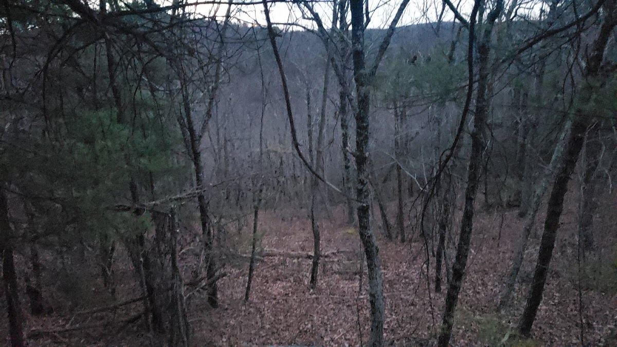 Turkeycock Wildlife Management Area