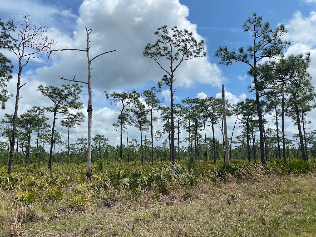 Deep Creek Preserve