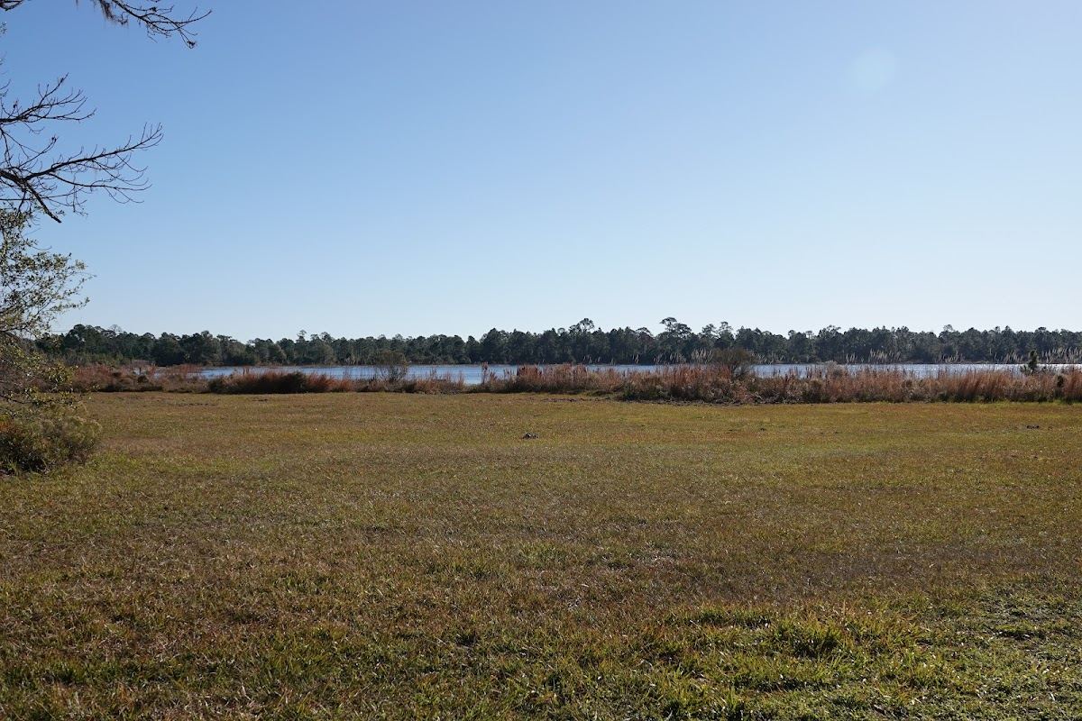 Highlands Hammock State Park, Seven Lakes Picnic Area