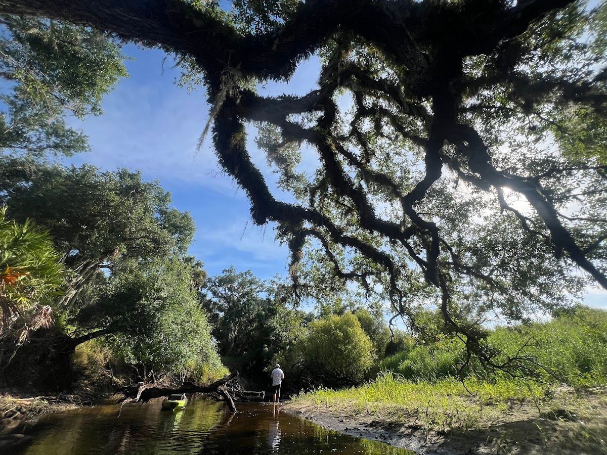 Prairie Creek Preserve
