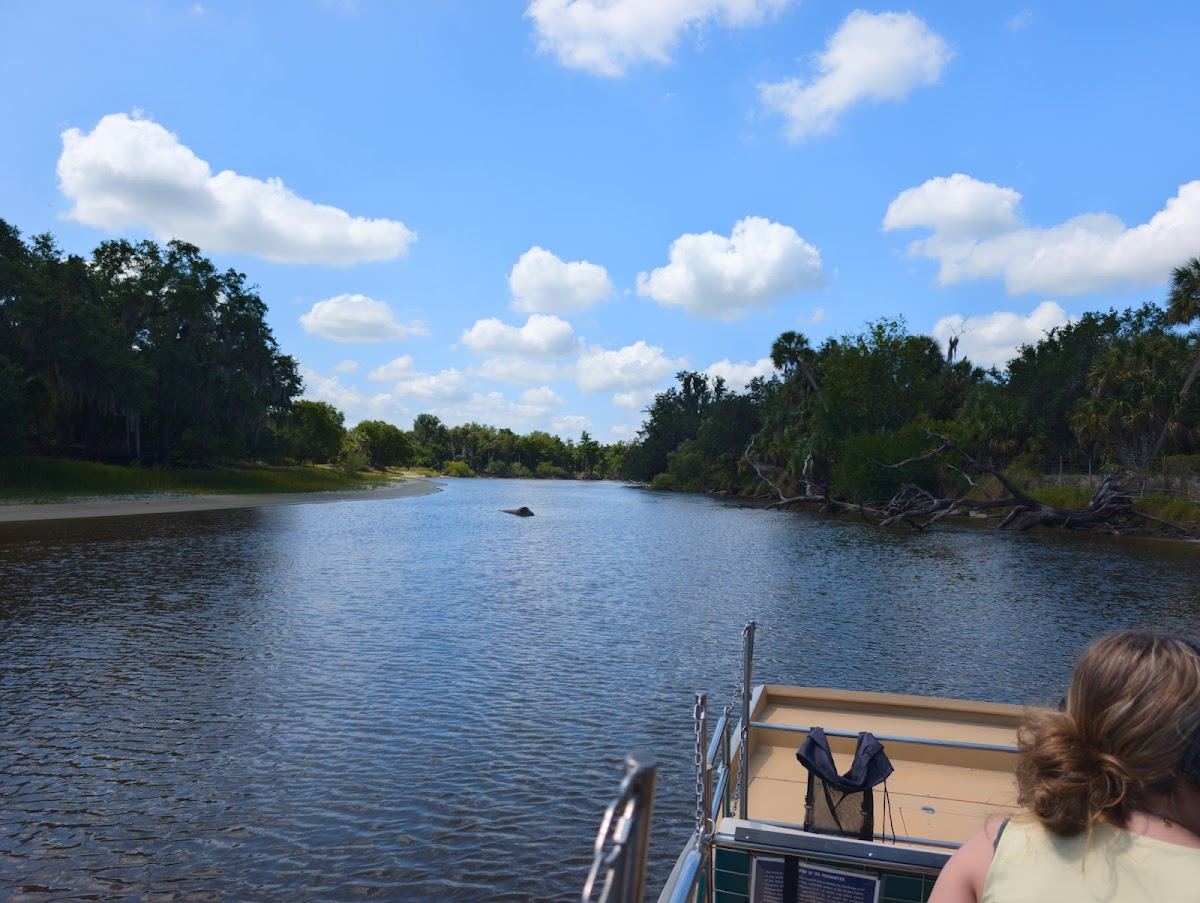 Upriver Adventures