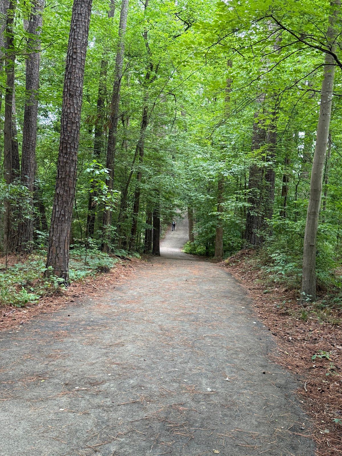 Al Buehler Trail: Public Parking