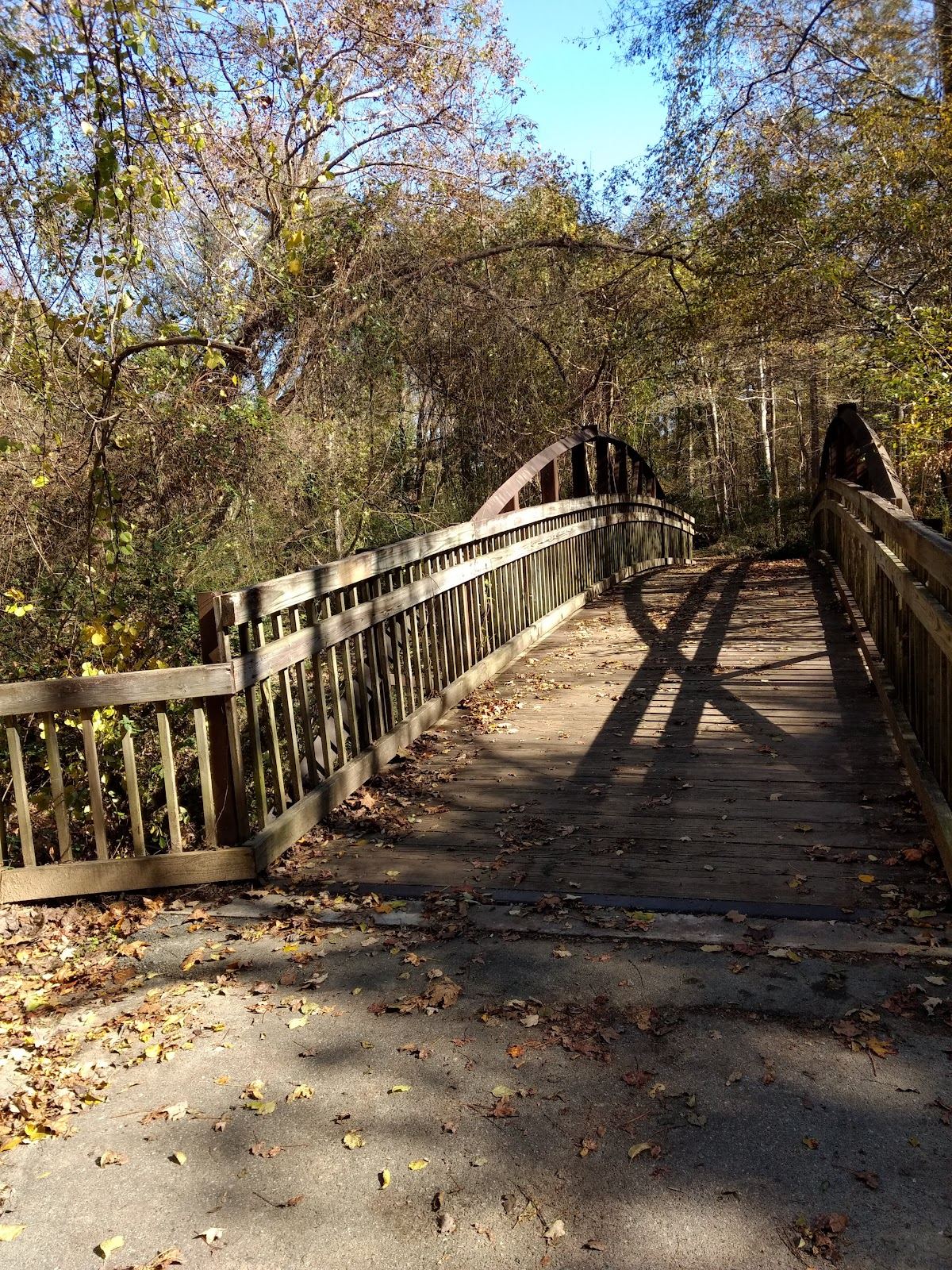 Bolin Creek