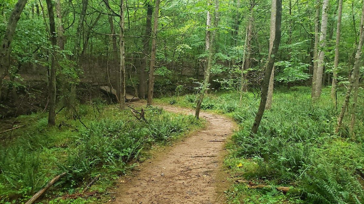 Buckquarter Creek Trailhead