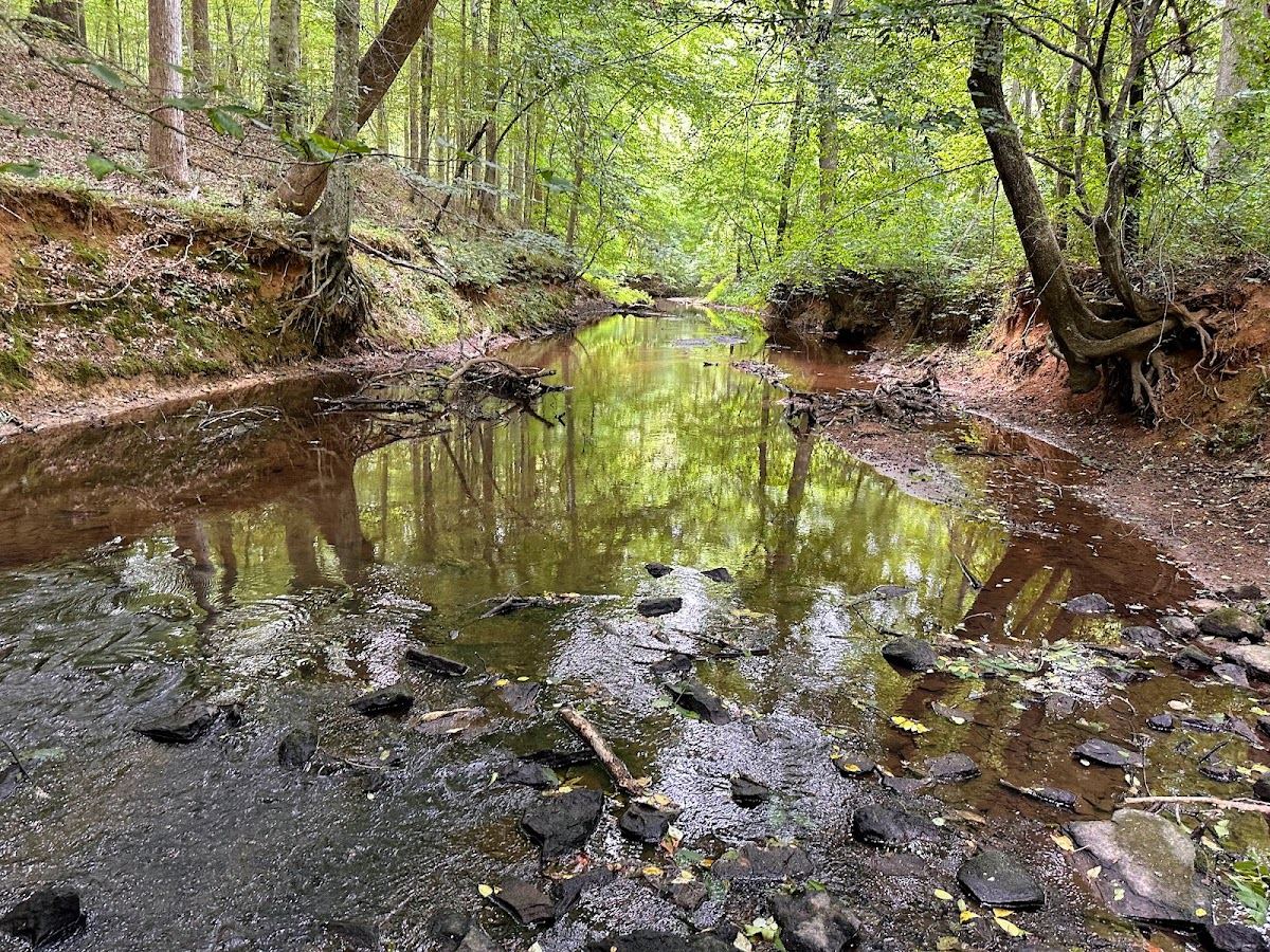 Confluence Natural Area
