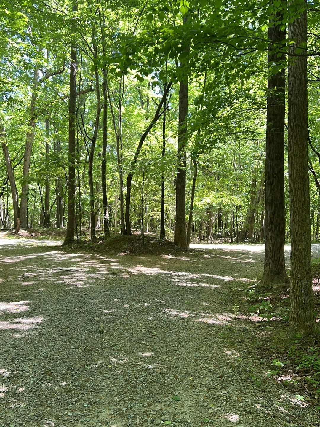 Duke Forest - Couch Mountain