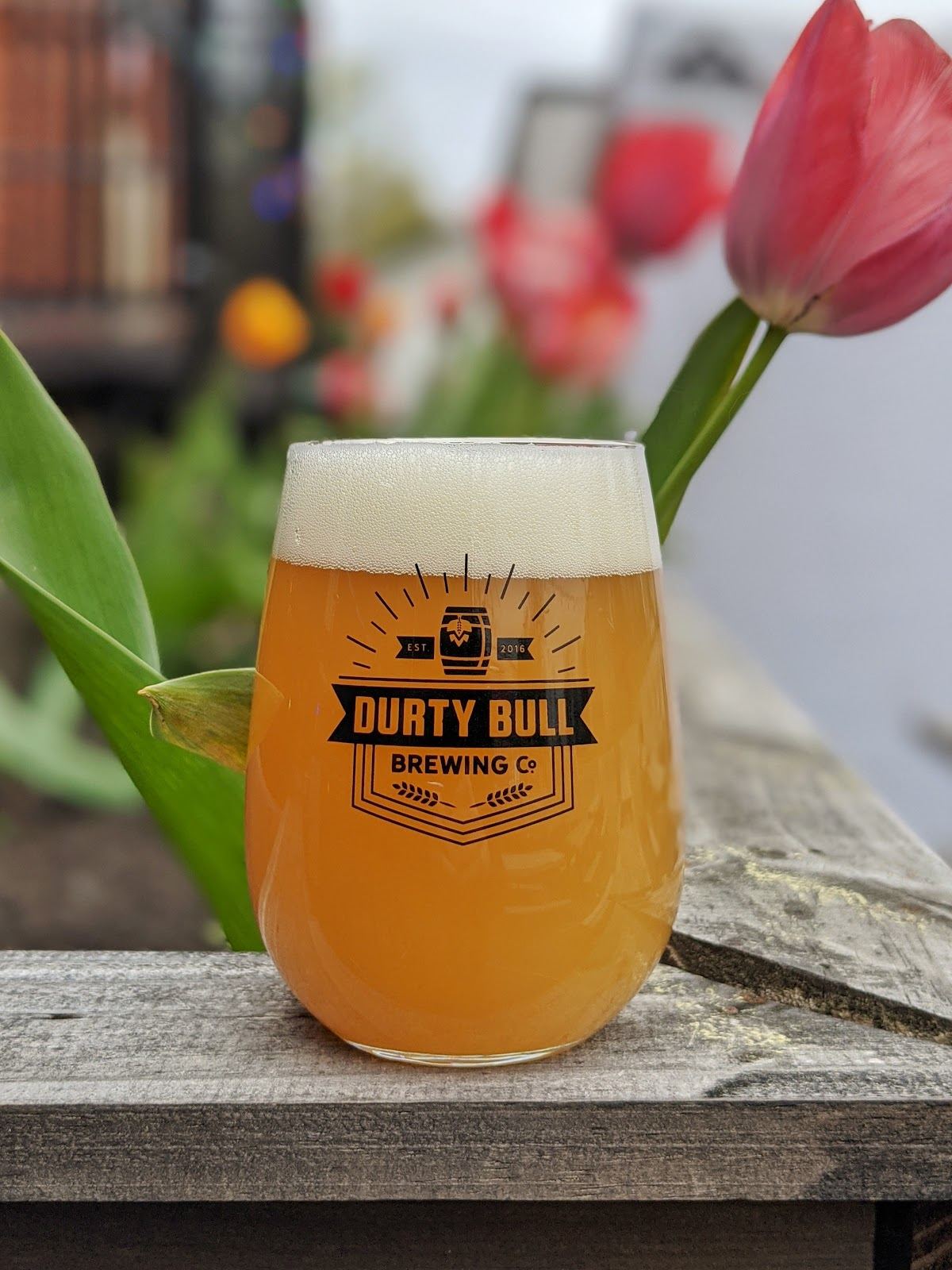 Durty Bull Brewing Company
