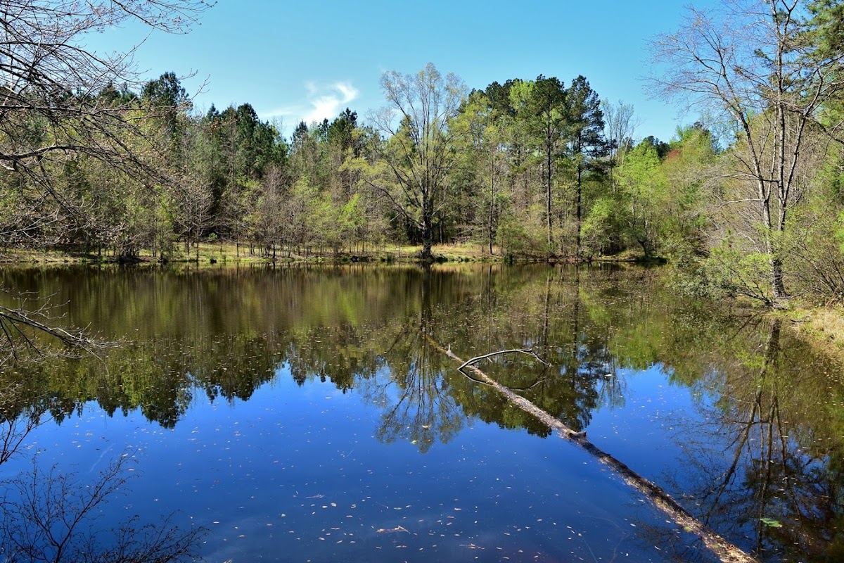 Horton Grove Nature Preserve