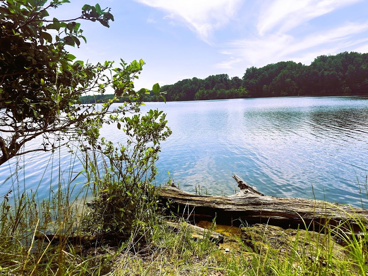 Little River Fishing Facility