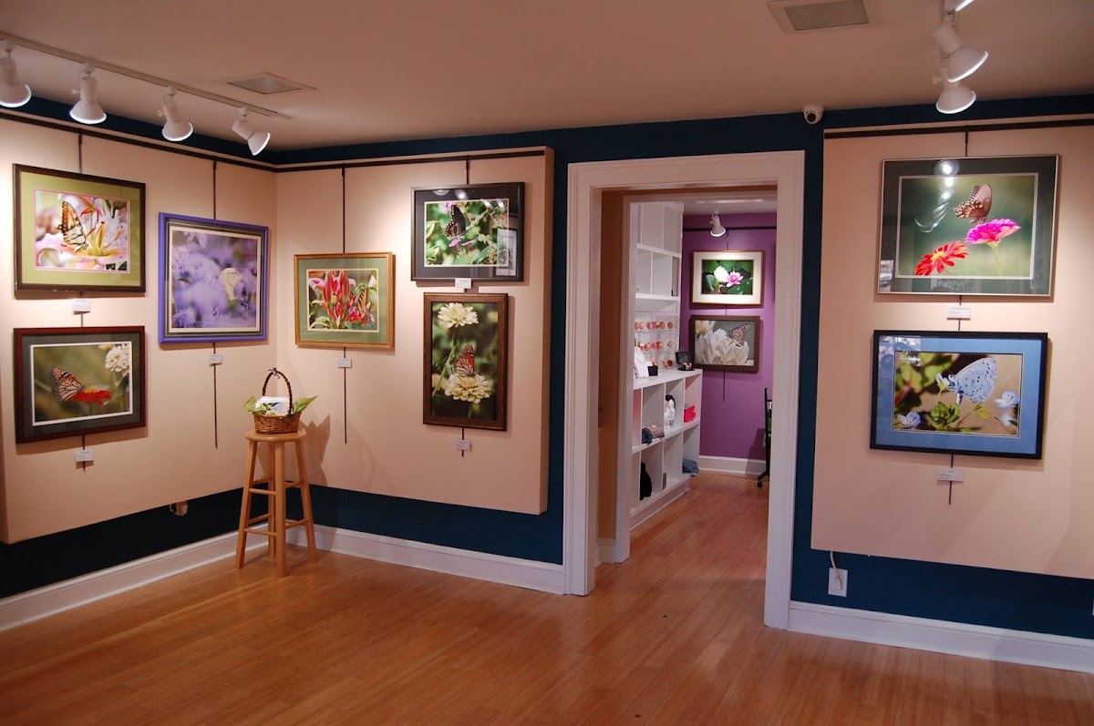 Margaret Lane Gallery