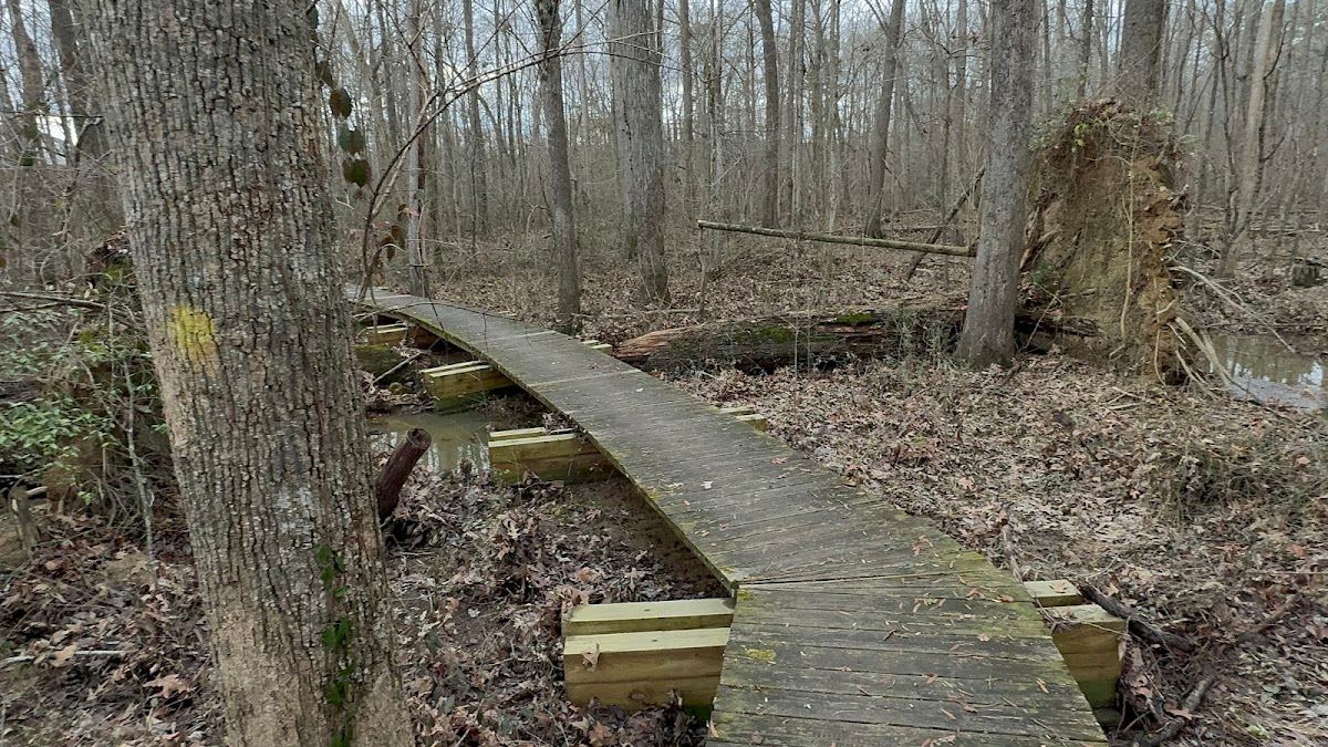 New Hope Creek County Preserve - Bottomlands Trail