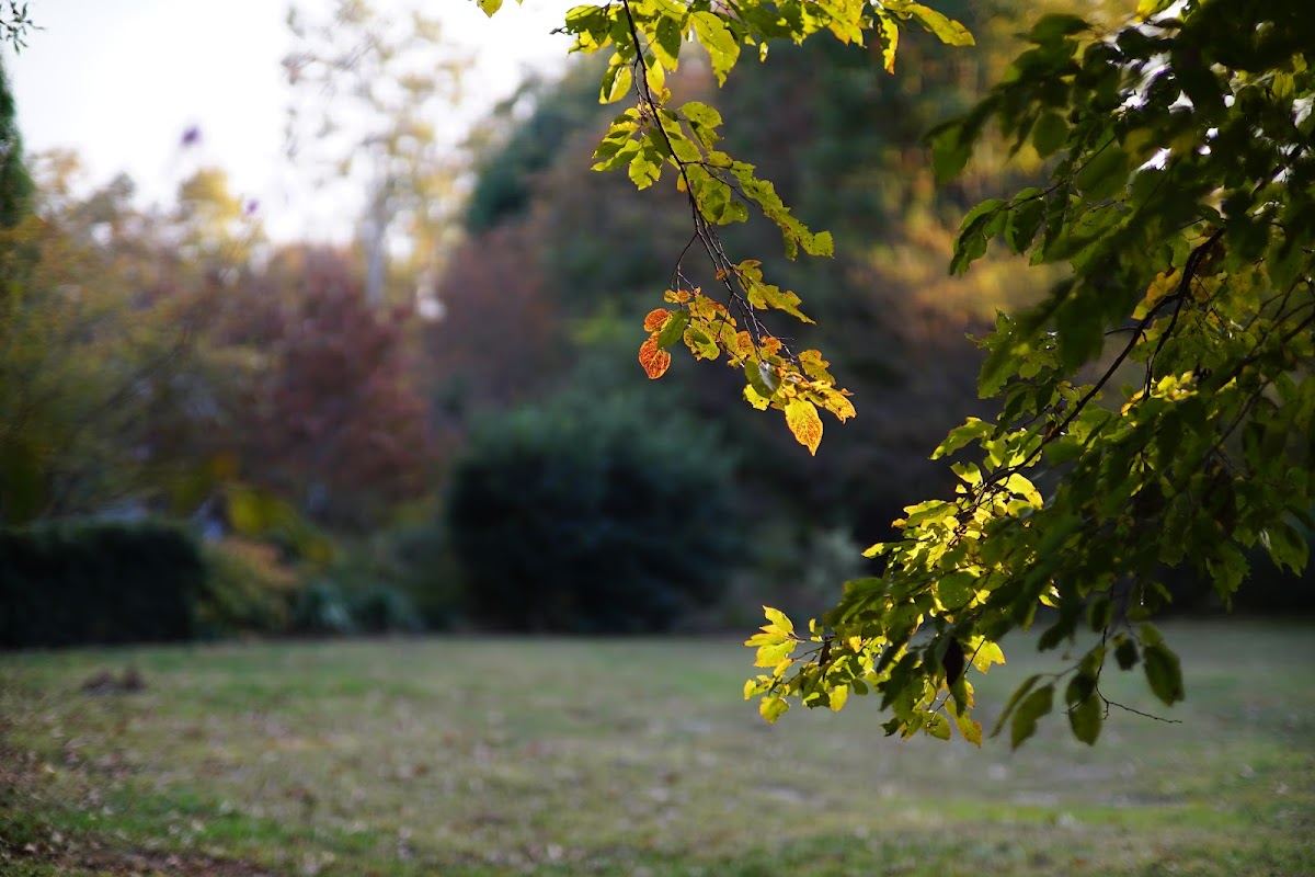 North Forest Hills Park