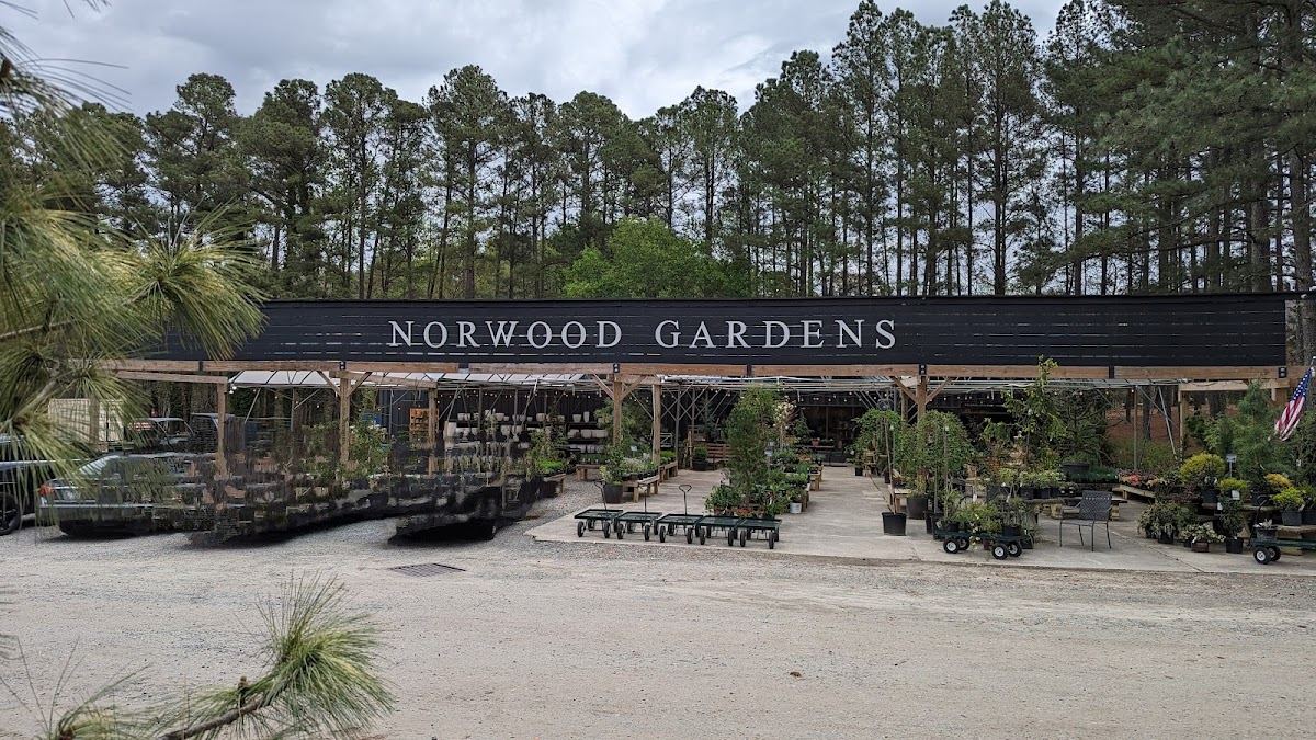 Norwood Gardens