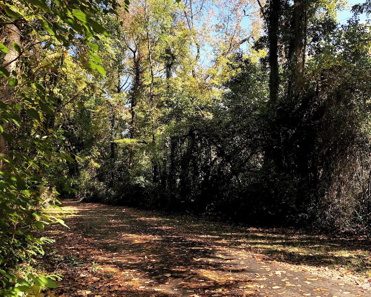 Pearl Mill Nature Preserve