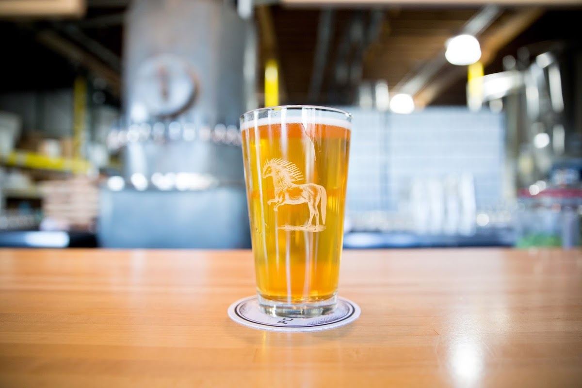 Ponysaurus Brewing Co.